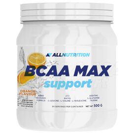 Придбати Комплекс амінокислот для спорту BCAA Max Support - 500g Orange (Апельсин) - All Nutrition, image , характеристики, відгуки