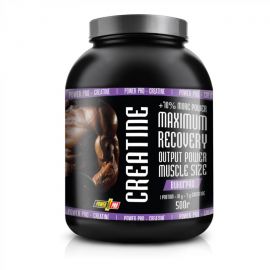 Купить Креатин  (Creatine)  - 500g Grape (Виноград)  - Power Pro, фото , характеристики, отзывы