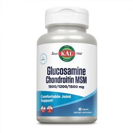 Придбати Glucosamine Chondroitin MSM - 60 tabs, image , характеристики, відгуки