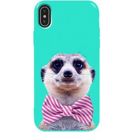 Купить Чехол-накладка TOTO Pure TPU 2mm Print Case Apple iPhone XS Max #33 Horek Mint, фото , характеристики, отзывы