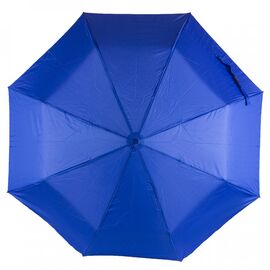 Придбати Напівавтоматична жіноча парасолька SL синя, image , характеристики, відгуки