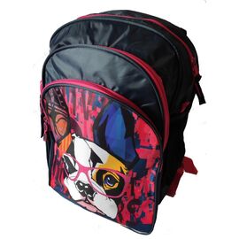 Купить - Рюкзака шкільний для дівчинки Paso синій, фото , характеристики, отзывы