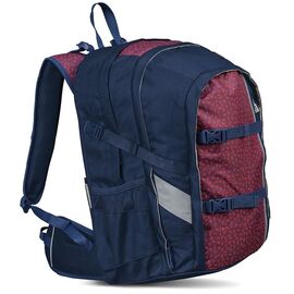 Купить Городской рюкзак с усиленной спинкой Topmove 22L синий с бордовым, фото , характеристики, отзывы