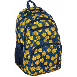 Купить - Рюкзак с ортопедической спинкой Paso 24L синий с лимонами, фото , характеристики, отзывы