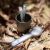 Купить Столовий прибор NexTool Outdoor Spoon Fork KT5525, фото , изображение 9, характеристики, отзывы
