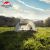 Купить Палатка трехместная Naturehike Cloud Fun NH19ZP006, 210T/Silver 
Coated, білий, фото , изображение 2, характеристики, отзывы