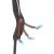 Придбати Рюкзак-гідратор Thule UpTake 12L (Black) (TH 3203807), image , зображення 4, характеристики, відгуки