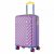 Купить Валіза Semi Line 20" (S) Purple (T5804-1), фото , характеристики, отзывы