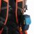 Придбати Рюкзак Vanguard Reno 41 Orange (Reno 41OR), image , зображення 10, характеристики, відгуки