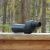 Купить Підзорна труба Vanguard Vesta 350S 12-45x50 WP + штатив (Vesta 350S), фото , изображение 16, характеристики, отзывы