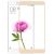 Купить Защитное стекло TOTO 2.5D Full Cover Tempered Glass Xiaomi Mi Max (soft edges) Gold, фото , характеристики, отзывы
