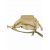 Придбати Кожаная сумка Italian Bags Рюкзак Italian Bags 11135_beige Кожаный Бежевый, image , зображення 6, характеристики, відгуки