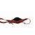 Придбати Шкіряна сумка Italian Bags Клатч Italian Bags 534166_red Шкіряний Червоний, image , зображення 7, характеристики, відгуки
