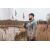 Придбати Бінокль Hawke Frontier HD X 8x42 Green (38010), image , зображення 11, характеристики, відгуки