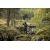 Купить Бинокль Hawke Frontier HD X 10x42 зеленый (38012), фото , изображение 11, характеристики, отзывы