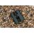 Купить Бинокль Hawke Frontier APO 10x42 Green (38512), фото , изображение 9, характеристики, отзывы