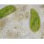 Купить Мікроскоп Bresser Trino Researcher 40x-1000x (5723100), фото , изображение 6, характеристики, отзывы