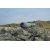 Купить Подзорная труба Kowa 20-60x82/45 (TSN-82SV), фото , изображение 6, характеристики, отзывы
