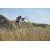 Купить Подзорная труба Kowa 20-60x82/45 (TSN-82SV), фото , изображение 7, характеристики, отзывы