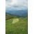 Купить Намет Vango Soul 200 Treetops (TERSOUL  T15151), фото , изображение 5, характеристики, отзывы