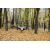 Купить Гамак Tribe Hammock T-LE-0002 navi, фото , изображение 6, характеристики, отзывы Купить Гамак Tribe Hammock T-LE-0002 navi, фото , изображение 6, характеристики, отзывы