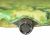Купить Коврик самонадувающийся Tramp с возможностью состывания camo 185х65х5 UTRI-007, фото , изображение 7, характеристики, отзывы