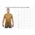Купить Футболка Tribe Coolpass SS T-KI-0006-coyote, 3XL, фото , изображение 5, характеристики, отзывы