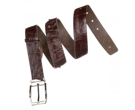 Купить Ремень мужской CROCODILE LEATHER 18178 из натуральной кожи крокодила Коричневый, фото , изображение 3, характеристики, отзывы
