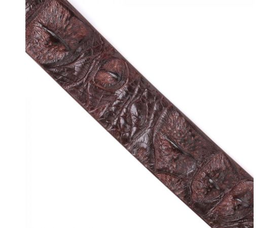 Купить Ремень мужской CROCODILE LEATHER 18178 из натуральной кожи крокодила Коричневый, фото , изображение 8, характеристики, отзывы