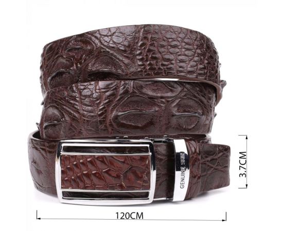 Купить Ремень-автомат CROCODILE LEATHER 18240 из натуральной кожи крокодила Коричневый, фото , изображение 4, характеристики, отзывы