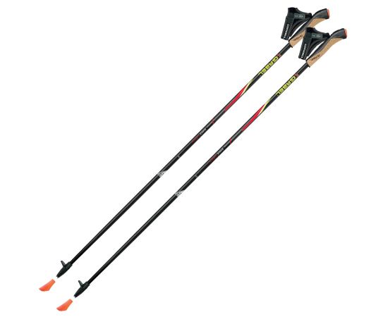 Купить Палиці для скандинавської ходьби Gabel FX-75 Snake Carbon 135 Dual Spike (7008351011350), фото , характеристики, отзывы
