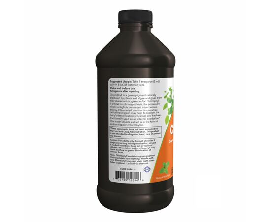 Купить Chlorophyll Liquid Mint - 16 oz, фото , изображение 3, характеристики, отзывы