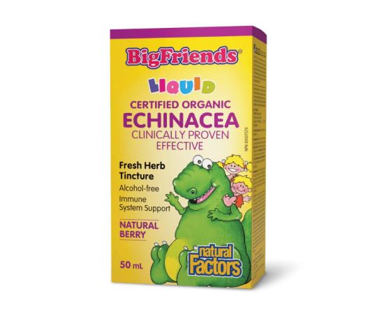 Придбати BigFriends Echinacea Alcohol-Free Fresh Herb Tincture for Kids - 50 ml, image , характеристики, відгуки