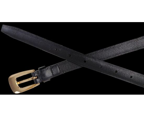 Купить Женский ремень с золотистой пряжкой UP2 Fashion Women, Германия черный, фото , изображение 5, характеристики, отзывы