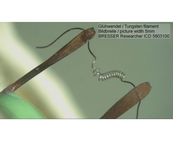 Купить Мікроскоп Bresser Researcher ICD LED 20x-80x (5803100), фото , изображение 5, характеристики, отзывы