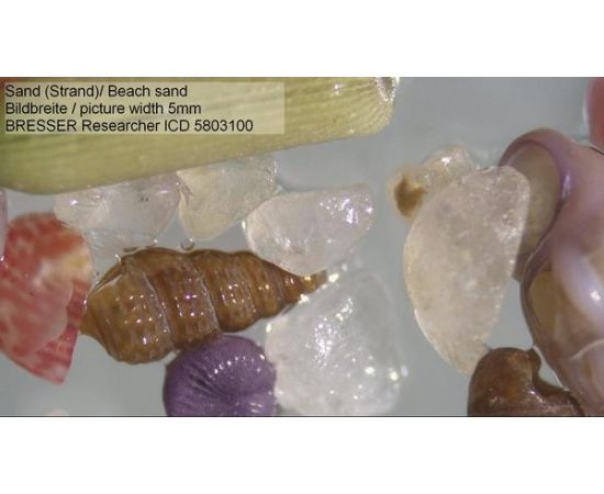 Купить Мікроскоп Bresser Researcher ICD LED 20x-80x (5803100), фото , изображение 7, характеристики, отзывы