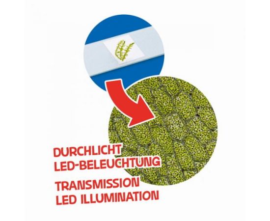 Купить Мікроскоп Bresser Junior 40x-640x Purple з набором для дослідів і адаптером для смартфона (8851300GSF000), фото , изображение 6, характеристики, отзывы