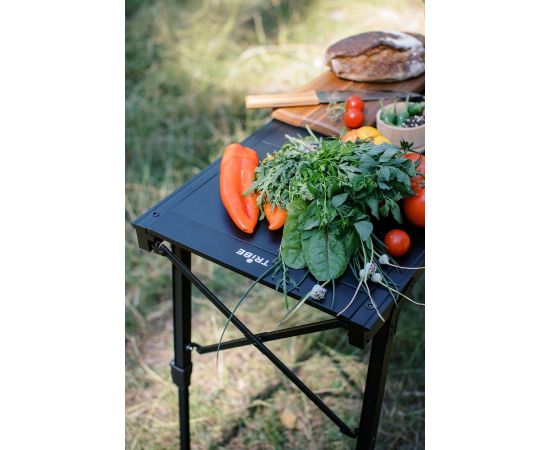 Купить Стіл Tribe Camp Table Alu T-EC-0005-black, фото , изображение 3, характеристики, отзывы