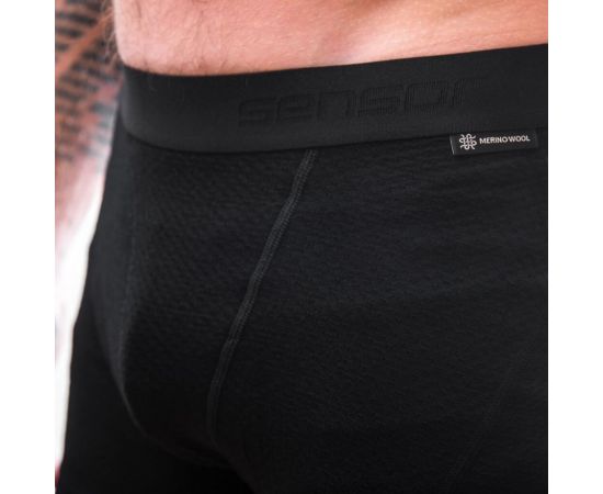 Купить Термотруси чоловічі Sensor Merino DF black 15100027, SM21M-black-S, фото , изображение 4, характеристики, отзывы