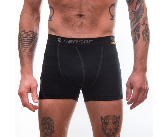 Купить Термотруси чоловічі Sensor Merino Active black 12110021, SM21MA-black-M, фото , характеристики, отзывы