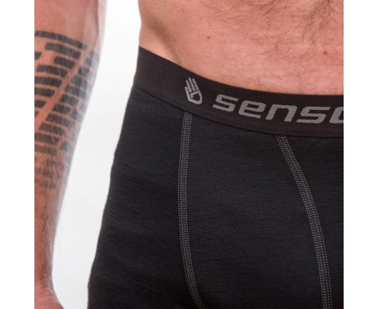 Купить Термотруси чоловічі Sensor Merino Active black 12110021, SM21MA-black-S, фото , изображение 4, характеристики, отзывы